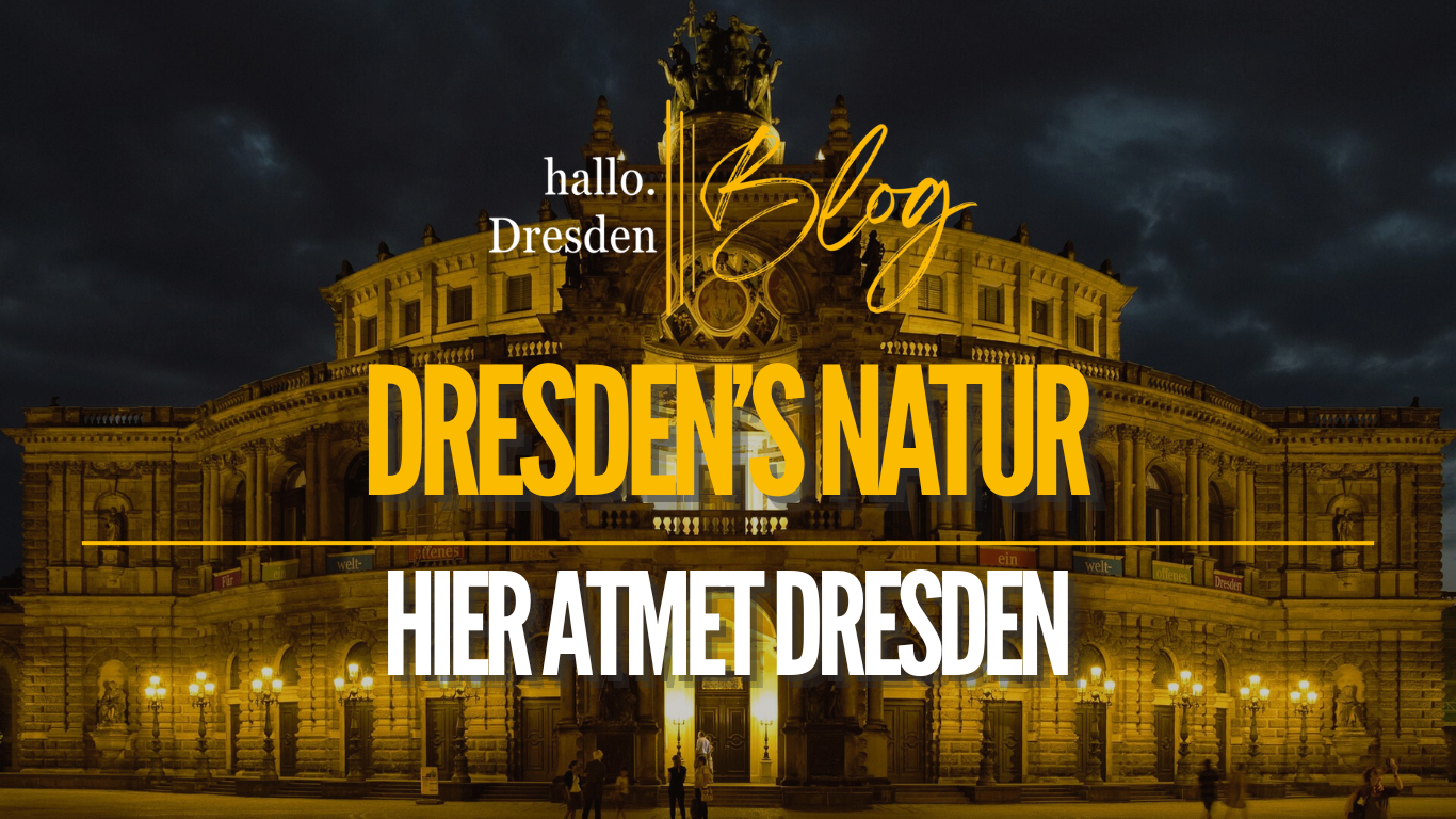 Dresden´s Natur
