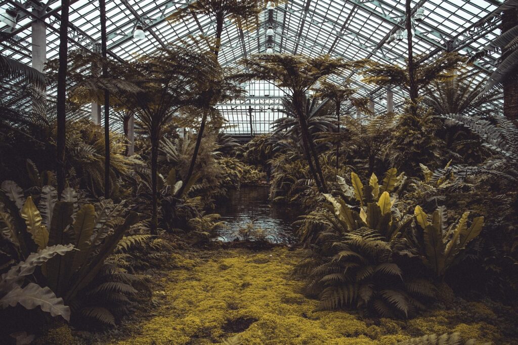 Der Botanische Garten mit grünen Palmen, die majestätisch in der warmen Sonne stehen. Um sie herum gedeihen weitere exotische Pflanzen, die eine tropische Atmosphäre inmitten der grünen Gartenlandschaft schaffen.