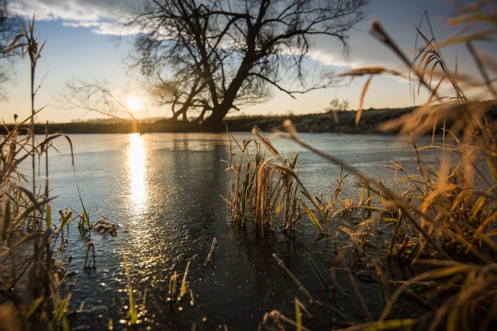 Ein Seeufer mit grünem Gras im Vordergrund, das im warmen Licht eines Sonnenuntergangs leuchtet. Die Farben des Himmels spiegeln sich im ruhigen Wasser, während die untergehende Sonne eine beruhigende, goldene Atmosphäre schafft.
