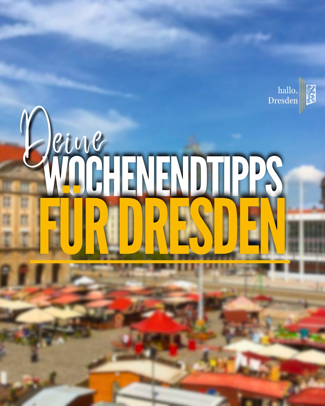 dresden am wochenende 8
